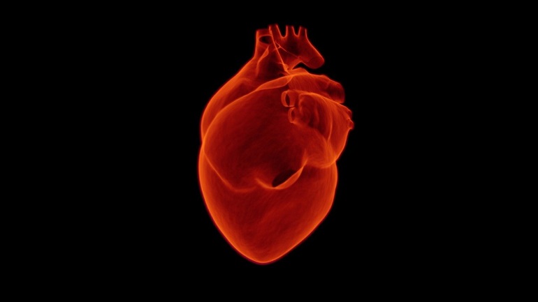 Entre el 5% y el 15% de los infartos de miocardio se complican con shock cardiogénico