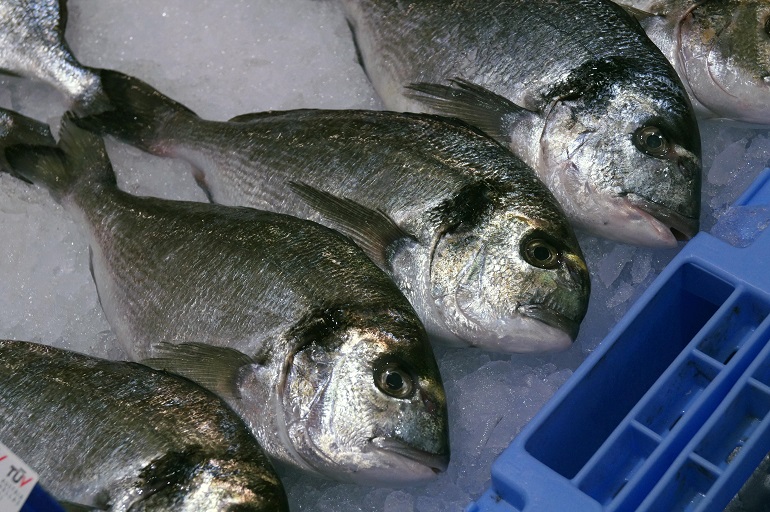 ¿Cuáles son los pescados más seguros por sus bajos niveles de mercurio?