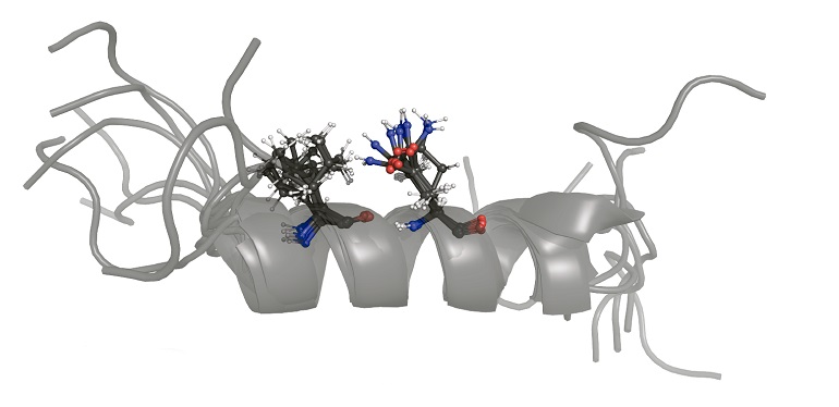 Una nueva herramienta para bloquear interacciones entre proteínas