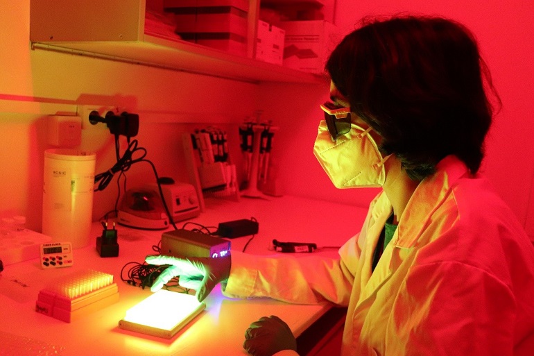 Fármacos activables con luz para futuras terapias de precisión contra enfermedades como el cáncer