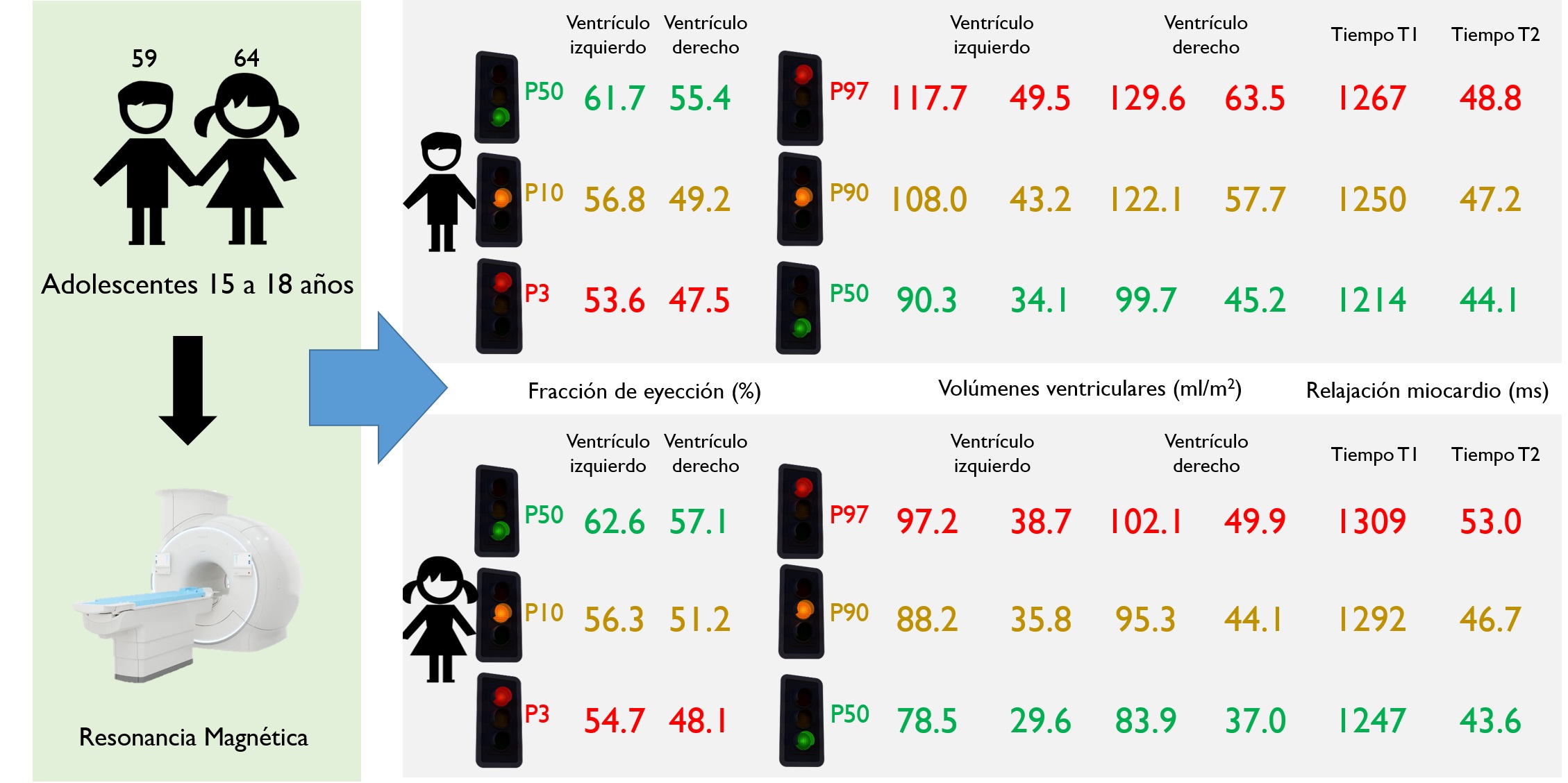 Así es el corazón normal de un adolescente