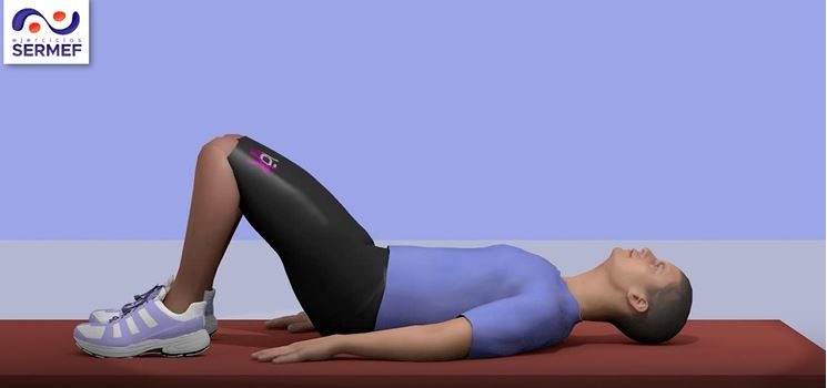 Ejercicio terapéutico frente al dolor musculoesquelético a través de la web