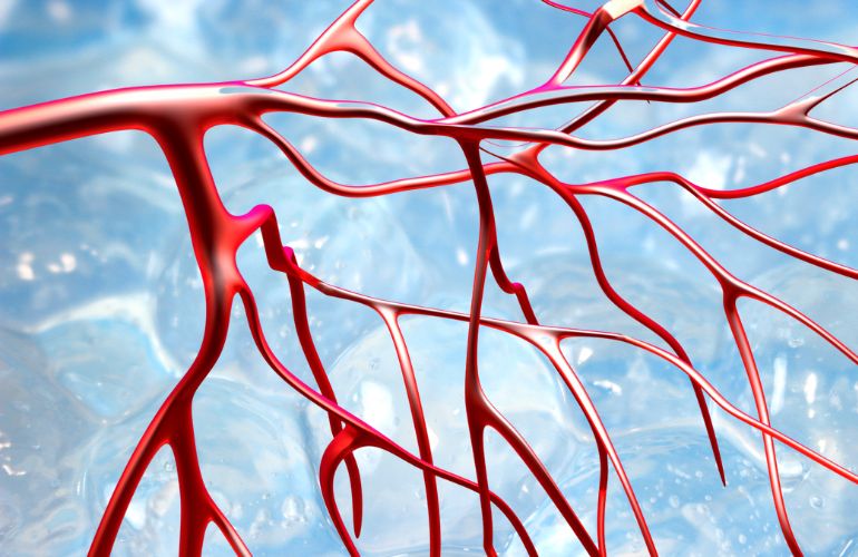 <strong>Investigadores de UIC Barcelona crean un vaso sanguíneo con colágeno que podría reemplazar arterias humanas</strong>