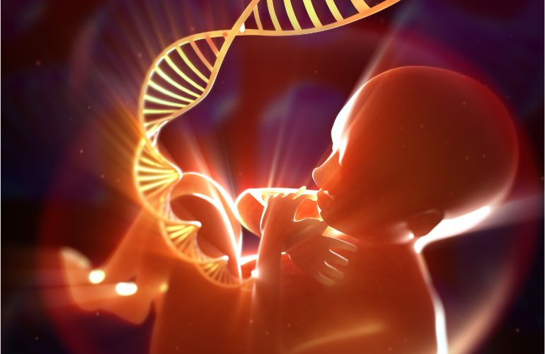 Células madre modificadas genéticamente para impulsar la inmunoterapia contra el cáncer