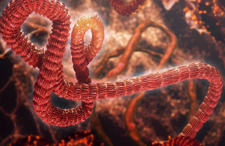 Caso sospechoso de ébola en España: lo que debemos saber de la enfermedad