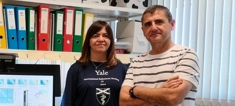 Una investigación sobre babesiosis en Asturias recuerda la necesidad de vigilancia en infecciones emergentes