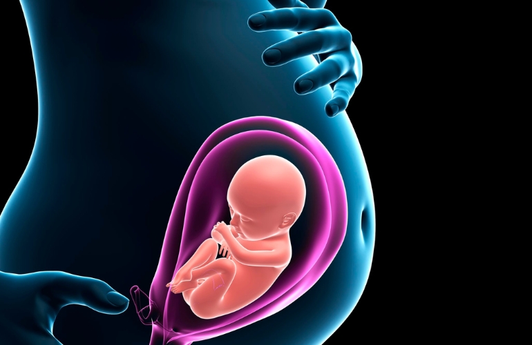 Las células fetales en el neuroepitelio olfativo de la madre podría ser un factor de protección ante la depresión