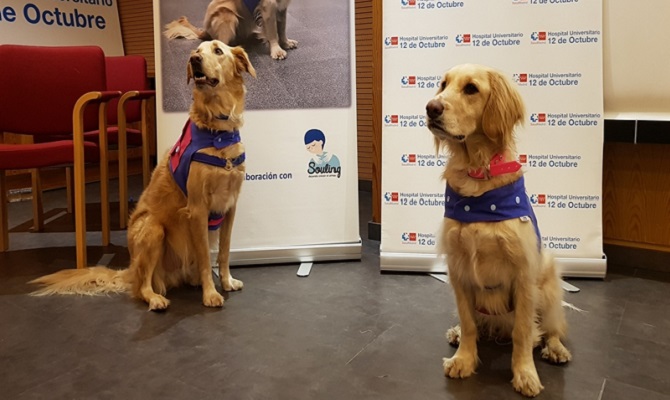 El hospital 12 de Octubre muestra los beneficios de la terapia con perros en pacientes alcoh&oacute;licos