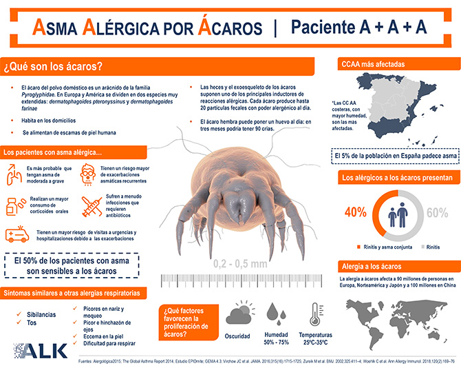 La primavera también agudiza la alergia a los ácaros del polvo doméstico