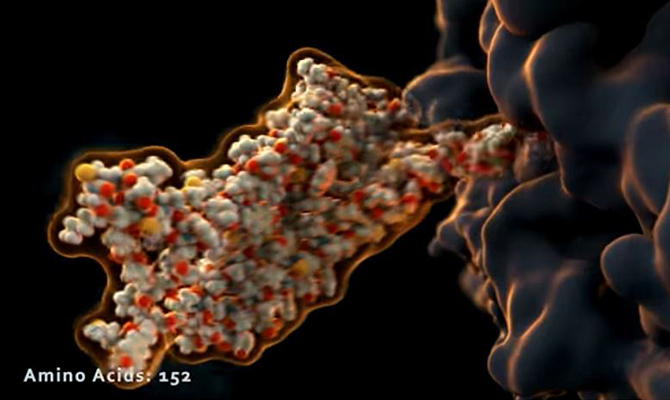 Genes ocultos en el ADN ‘basura’: una nueva sorpresa en el mapa de la vida