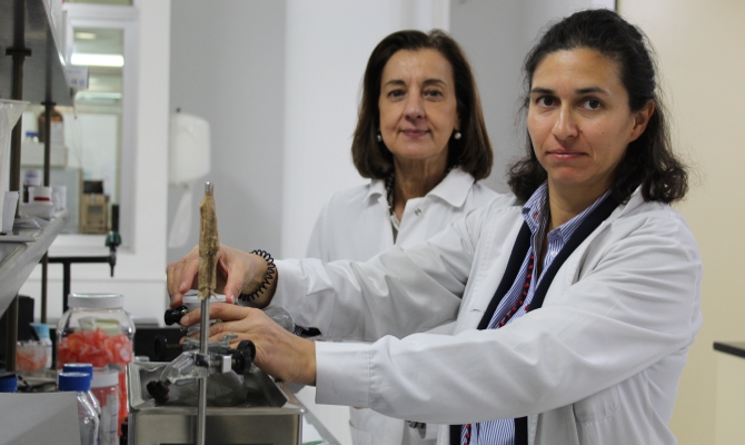 &laquo;Caminamos hacia formulaciones innovadoras que faciliten la llegada del antibi&oacute;tico al foco de la infecci&oacute;n para erradicarla con dosis m&aacute;s bajas&raquo;