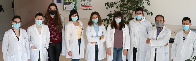 Identificados nuevos cambios en el metabolismo de los linfocitos B que ayudarán en la inmunoterapia oncológica