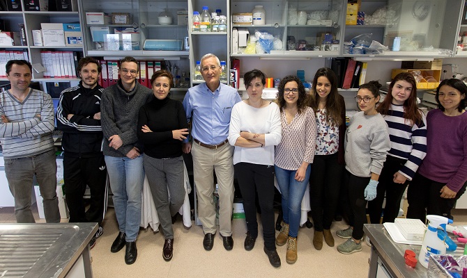 La interacci&oacute;n entre dos prote&iacute;nas celulares, posible diana frente al c&aacute;ncer