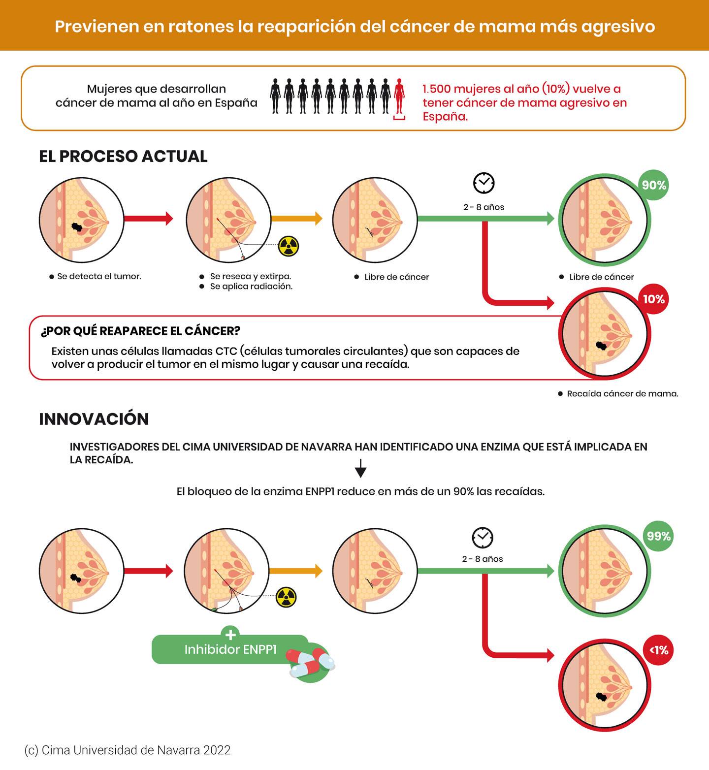 Previenen en ratones la reaparici&oacute;n del c&aacute;ncer de mama m&aacute;s agresivo