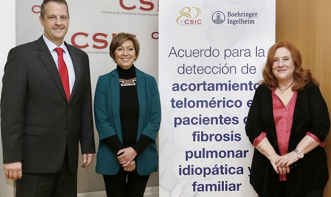 Una prueba para medir los tel&oacute;meros permite personalizar el tratamiento de la fibrosis pulmonar para 8.000 afectados