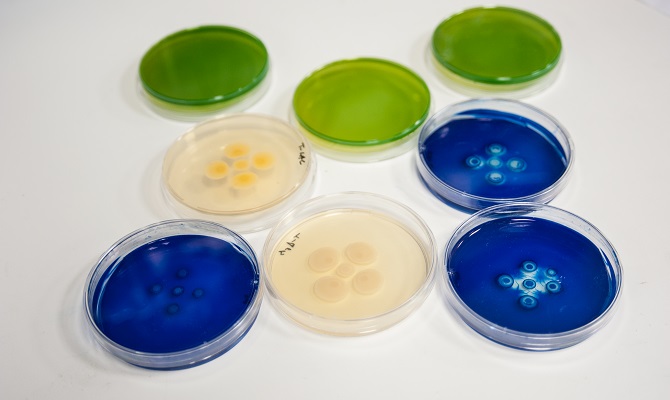Se estrecha el cerco a las superbacterias