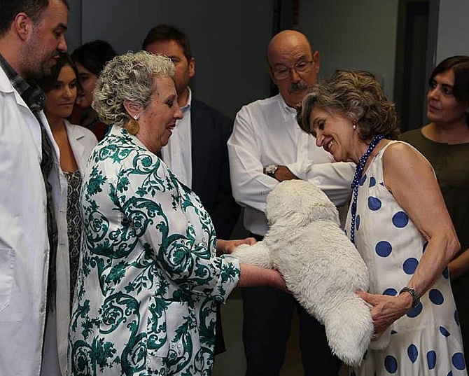 La ministra de Sanidad afirma que la falta de presupuestos &laquo;impide contribuir con mayor fortaleza&raquo; a eliminar el ‘limbo de la dependencia’