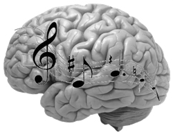 Trastornos musicales