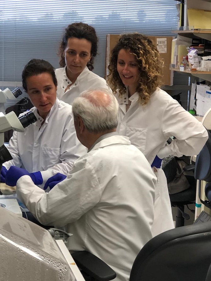 Cient&iacute;ficos espa&ntilde;oles desarrollan un sistema de modulaci&oacute;n epigen&eacute;tica para retrasar la artrosis