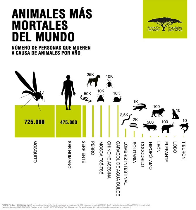 El coronavirus ralentiza la lucha contra la malaria y podr&iacute;a duplicar las muertes por esta enfermedad