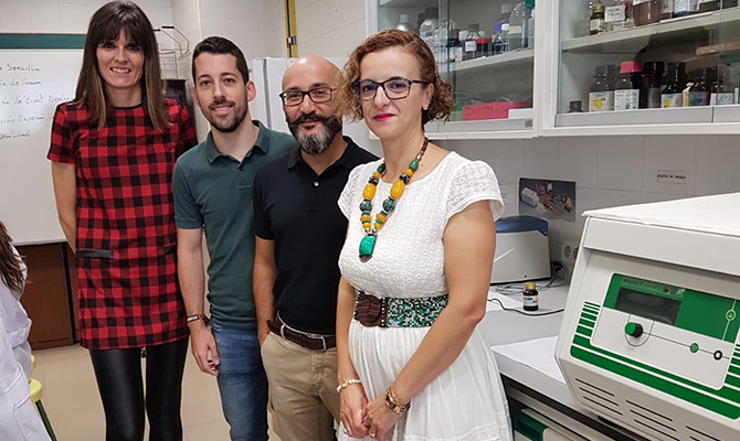 Identifican bacterias en la aceituna de mesa que ‘secuestran’ metales t&oacute;xicos durante la digesti&oacute;n