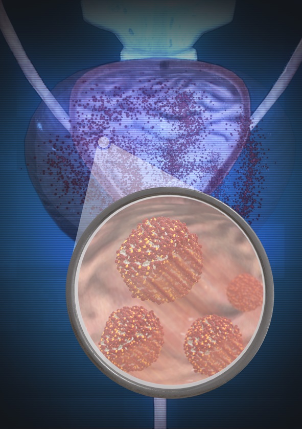 Nanorrobots para localizar y combatir el c&aacute;ncer