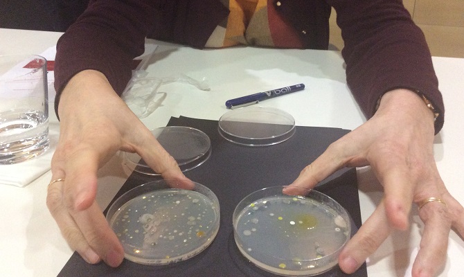 Proyecto pionero en Salamanca contra las bacterias resistentes a antibi&oacute;ticos