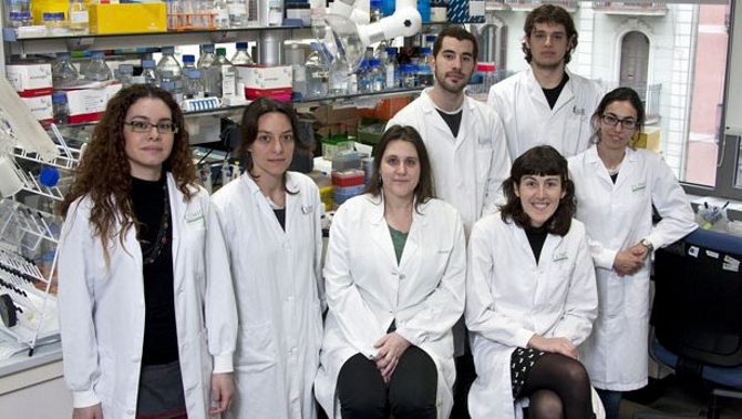 Identifican un nuevo mecanismo de activaci&oacute;n de oncogenes que permite un diagn&oacute;stico m&aacute;s preciso de uno de los linfomas m&aacute;s agresivos