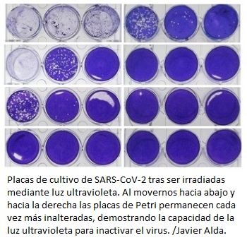Determinan la cantidad de luz ultravioleta que inactiva el SARS-CoV-2