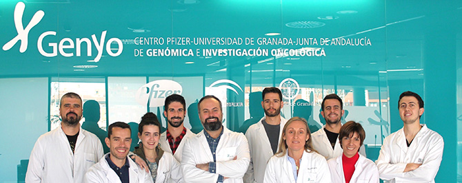 Descubren una nueva mutaci&oacute;n que promueve el desarrollo de tumores hematol&oacute;gicos