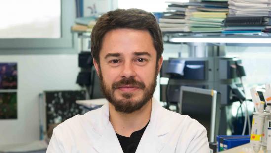 Primer f&aacute;rmaco eficaz contra un tipo de c&aacute;ncer gastrointestinal sin tratamiento