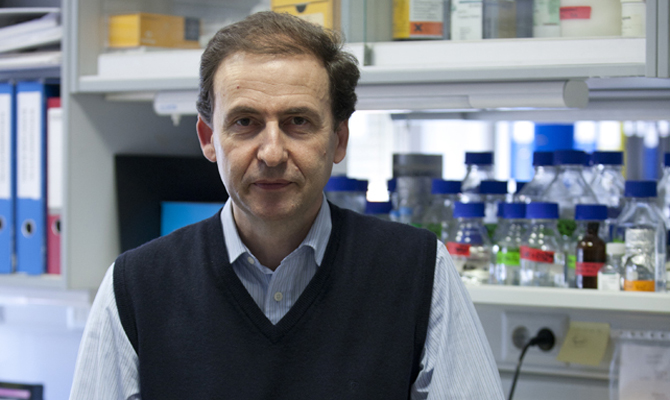 El Centro del C&aacute;ncer logra un proyecto ‘Accelerator’ para crear una plataforma y una red de investigaci&oacute;n para el diagn&oacute;stico temprano de la leucemia