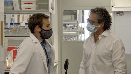 El metabolismo energ&eacute;tico cerebral relaciona el consumo de cannabis con la insociabilidad