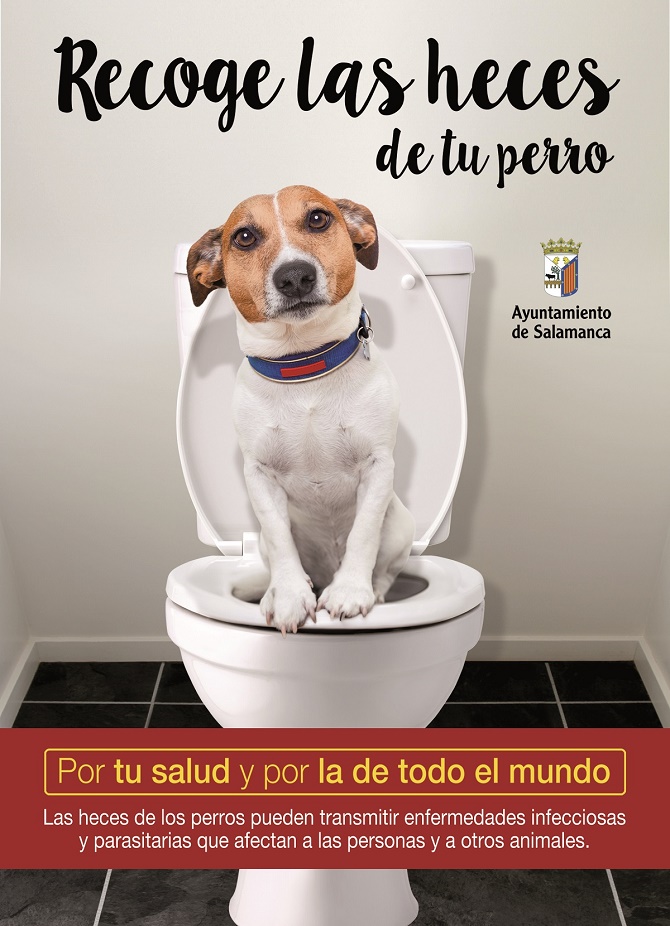 Campa&ntilde;a para fomentar la recogida de heces caninas y evitar la transmisi&oacute;n de enfermedades infecciosas