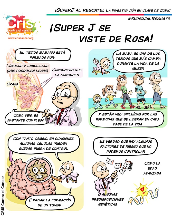 Investigadores descubren un mecanismo de resistencia a un f&aacute;rmaco muy eficaz contra un tipo de c&aacute;ncer de mama