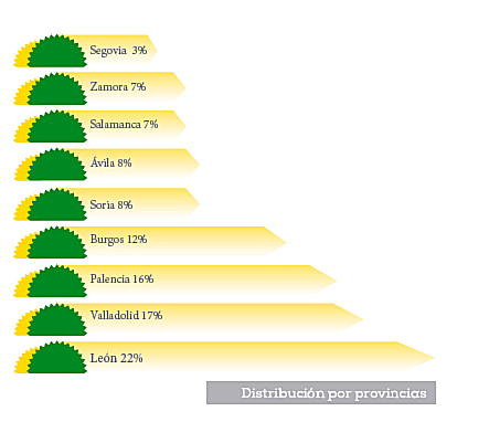 La Fundaci&oacute;n FECLEM protege a medio millar de personas con enfermedad mental en Castilla y Le&oacute;n