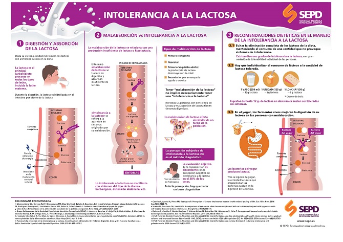 Malabsorci&oacute;n e intolerancia a la lactosa son trastornos que no deben implicar la eliminaci&oacute;n total de l&aacute;cteos de la dieta