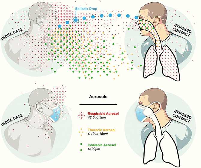 Representación esquemática de las vías de infección por gotitas balísticas (azul) y aerosol (verde, amarillo y rojo) para una enfermedad respiratoria. Ambos viajan a través del aire desde la persona infectada hasta la persona susceptible, pero las gotitas balísticas infectan por impacto y los aerosoles por inhalación. Se muestran dos situaciones sin y con el uso de mascarilla. / DK Milton (Journal of the Pediatric Infectious Diseases Society) Cinco preguntas clave sobre la posible transmisión aérea del coronavirus