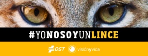 Campa&ntilde;a para reducir los accidentes de los conductores con peor visi&oacute;n, tras detectar que triplican la media de siniestros