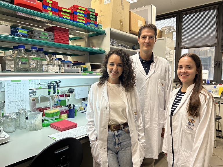 Descifrado el mecanismo por el cual una proteína favorece la metástasis del cáncer de mama