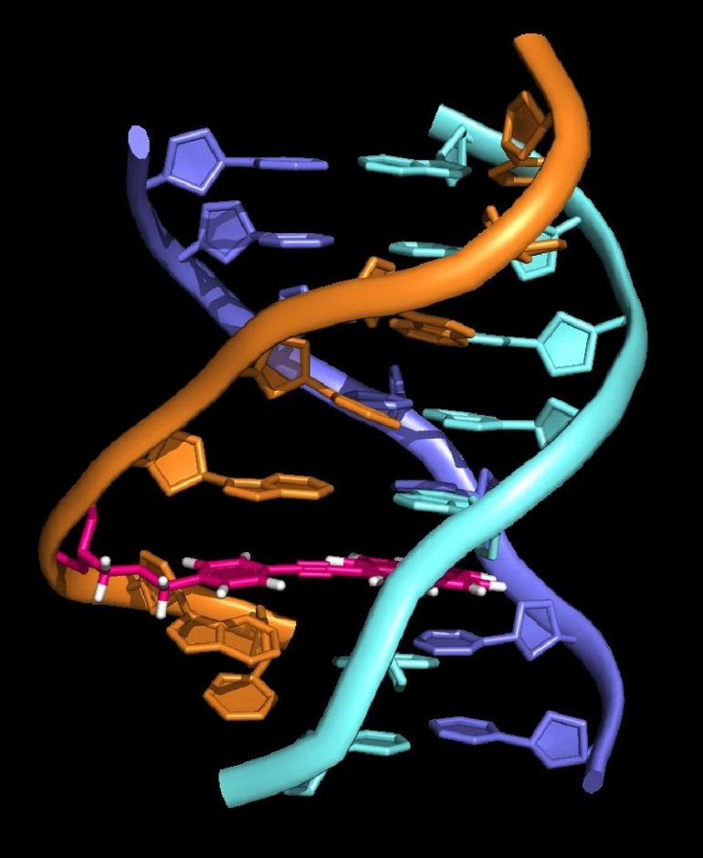 El CSIC estudia el ADN de triple hélice para desarrollar fármacos de terapia génica