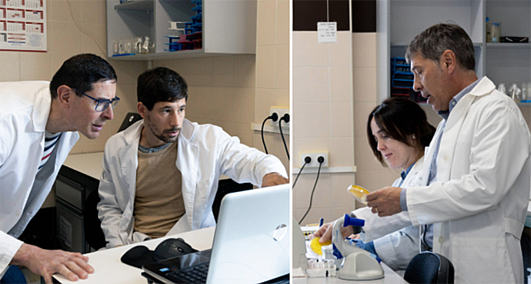 Ingeniería genética con el hongo ‘Ashbya gossypii’ para convertir residuos agrícolas y domésticos en productos de alto valor para la salud