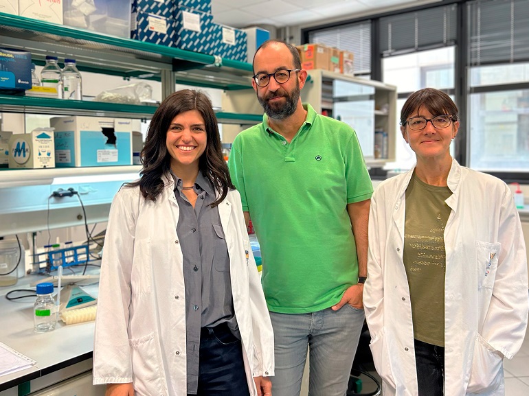 Nueva herramienta genética para crear aneuploidías a la carta y analizar su impacto durante el desarrollo embrionario