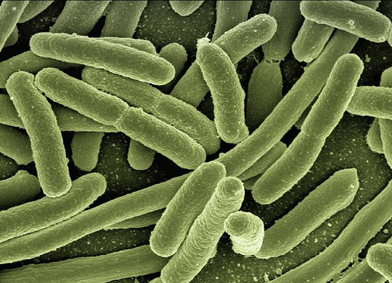 Aplican nanotubos para conseguir antibióticos más resistentes y eficaces