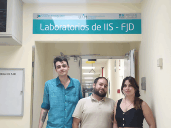 Descubren una nueva causa de los aneurismas de aorta y una posible v&iacute;a para prevenirlos sin cirug&iacute;a