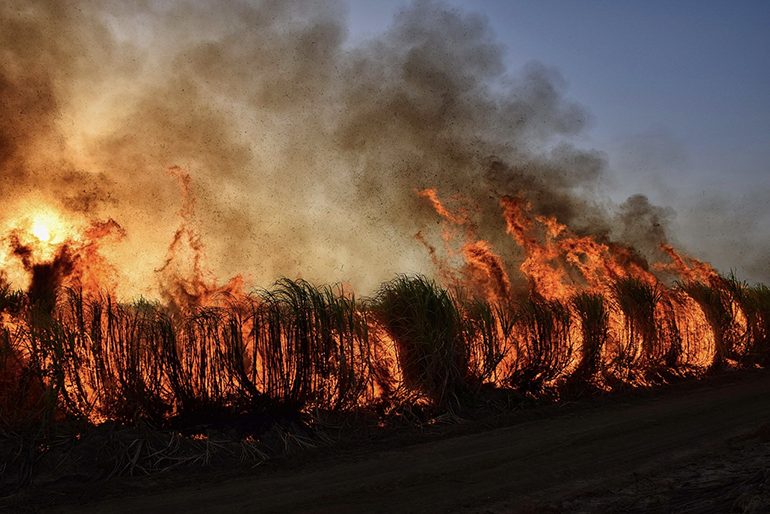 La mortalidad asociada a las partículas finas procedentes de incendios forestales podría estar infraestimada en un 93%