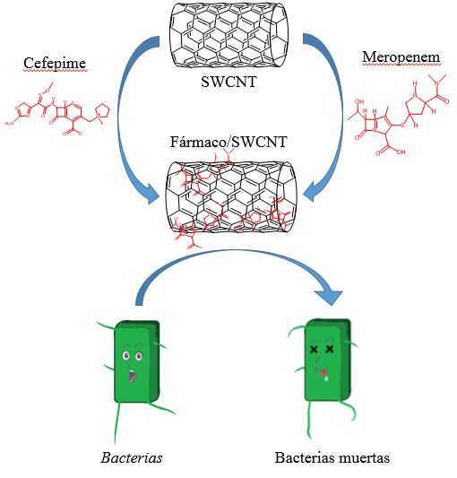 Aplican nanotubos para conseguir antibióticos más resistentes y eficaces