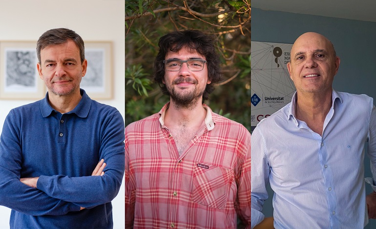 Los ritmos cerebrales revelan cómo el cerebro elige las rutas para procesar la información