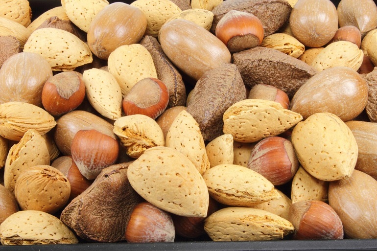 La flora intestinal ayuda a entender c&oacute;mo los frutos secos mejoran las capacidades cognitivas