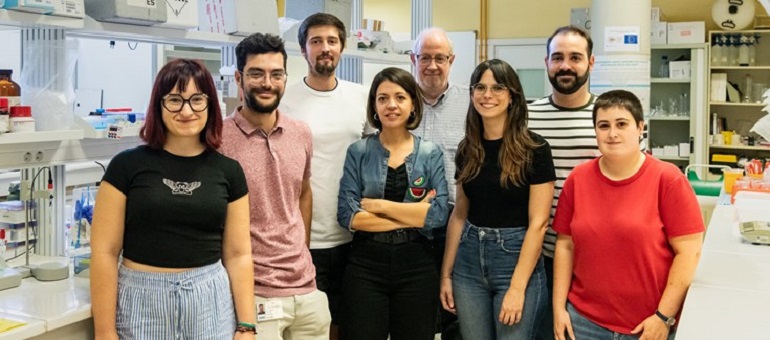 Nanomotores que usan glucosa como “gasolina” para combatir el cáncer